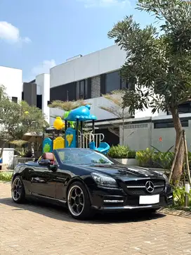 Mercedes Benz SLK250 AMG Magic Sky Black on Red 2011