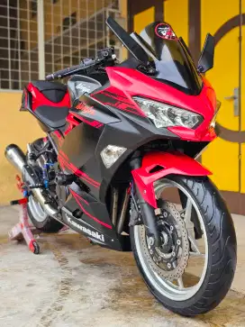 Kawasaki Ninja250 / Ninja 250 Fi ABS SE 2018, Red Premium Doff.