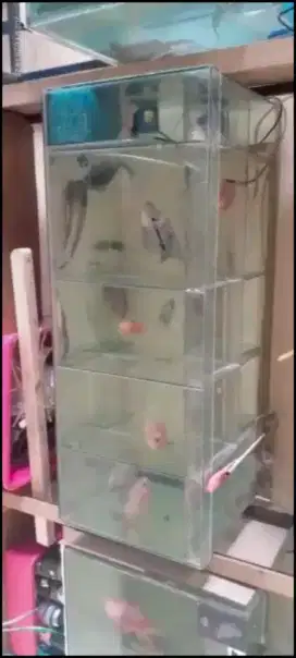 Aquarium sekat 8 3biji kembar