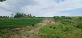 Dijual tanah view sawah dan sungai di Kerambitan Tabanan Bali
