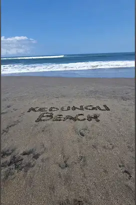 Tanah View sawah Jl Pantai Kedungu
