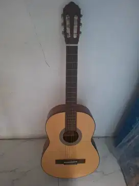 Guitat Accoustic Cort C 100 OP