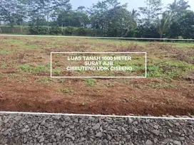TANAH KEBUN MURAH DAN STRATEGIS DI CIBEUTEUNG UDIK KECAMATAN CISEENG
