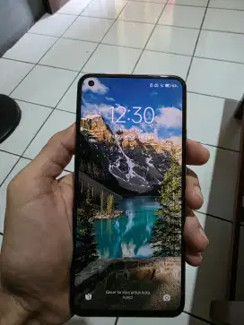 Xiaomi Mi 11 Lite 6/64Gb Peach Pink