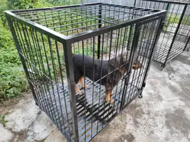Kandang Anjing Besar