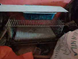 kandang burung sudah lama tidak terpakai