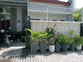 Tukang harian dan Borongan