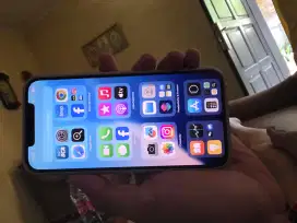 Iphone 12 promax
