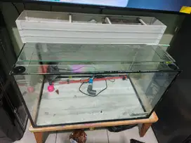 Aquarium 70x40 plus isi nya