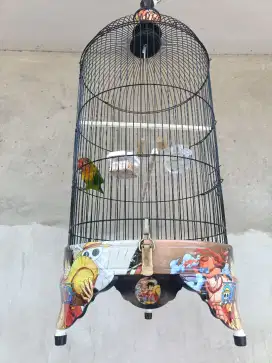LOVEBIRD JOSSAN GACOR