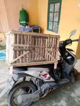 Kandang ayam kelinci