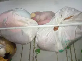 Dijual boneka anak, ada yg baru ada yg bekas,