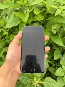 Ip 7 plus 256gb inter