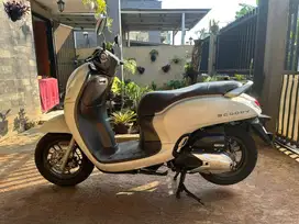 SCOOPY MURAH PRESTIGE 2023