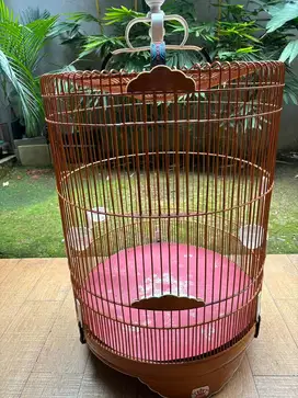 Kandang murai nomor 2 king