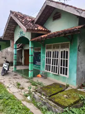 JUAL MURAH CEPAT