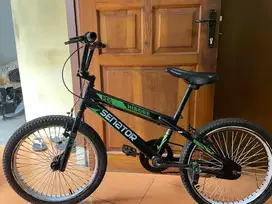 Sepeda anak senator