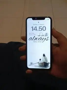iPhone x 256 gb ex inter all op