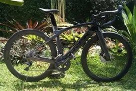 Roadbike Trek Madone SL 6 2021