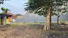 Kaveling Ciomas Bogor 5 Menit Terminal Bubulak Free SHM