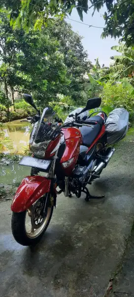 Suzuki Inazuma 2013