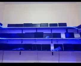 Pusatnya Laptop & Notebook Second BERGARANSI -Mulai 1.500 jutaan saja