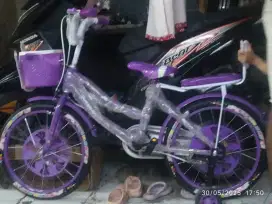 Sepeda keranjang anak