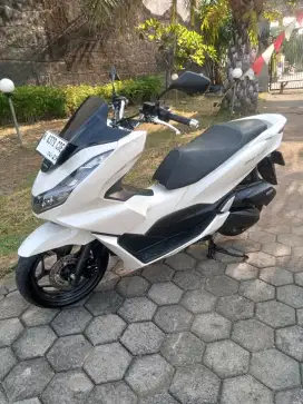 PCX 160 2024 Putih