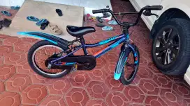 Sepeda anak Polygon Champ 16