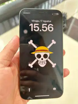 Iphone 12 pro 128gb