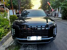 Hyunday Palisade Signature 2.2 D th 2024