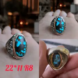 pirus persia blue fancy lawasan full daging