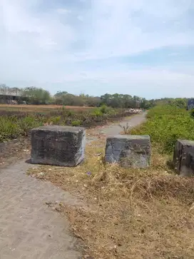 19. DIJUAL TANAH KALIANAK 0 JALAN RAYA GREGES SURABAYA