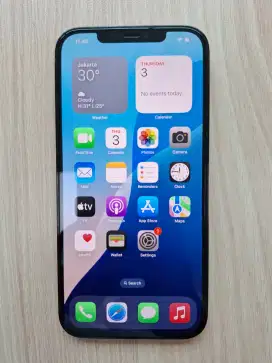 Apple Iphone 12 Promax 256 GB Inter all operator