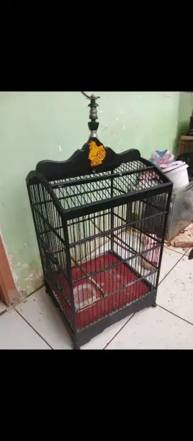Kandang burung kenari