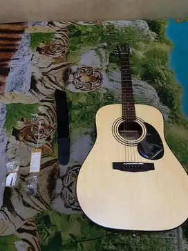 Gitar cort AD810 EOP