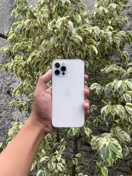 IPhone 12 Pro 512GB White Beacukai