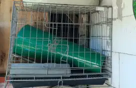 sangkar Kandang kucing