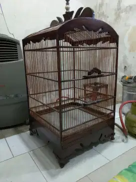 Sangkar kotak jati asli murah