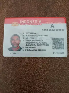 Sopir keluarga yg serba bisa