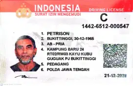 Sopir keluarga yg serba bisa