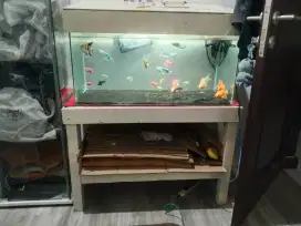 aquarium akuarium