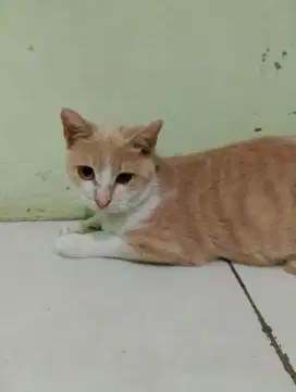Cari kerjaan untuk Sabtu Minggu