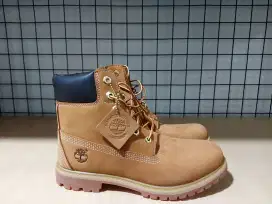 Timberland tree vault
