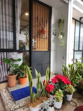 Di cari ART menginap segera!
