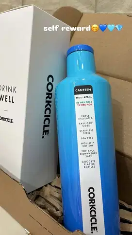 Tumbler corkcicle blue original
