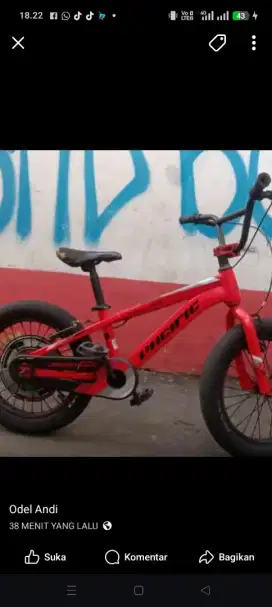 Jual BMX pacific 18 inch