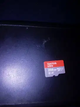 MicroSD Sandisk Extreme 256GB