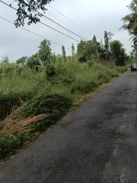 Disewakan murah tanah di jl palagan km 12 hanya 5 juta pertahun