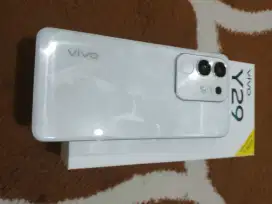 Jual Vivo Y 29 Ram 8/128